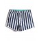 Mens Classic Striped Print Loose Quick Dry Drawstring Waist Holiday Beach Board Shorts